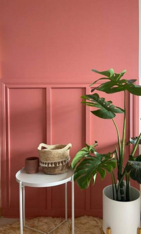 The Pink House